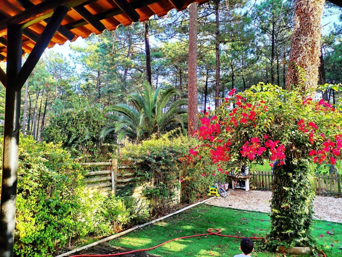 Dolphin Aroeira Beach Villa Charneca  Zewnętrze zdjęcie